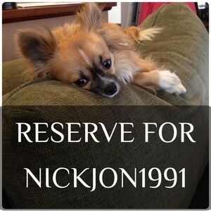 Adorable Fluffy Dog on Green Cushion